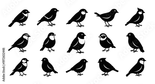 Collection of diverse bird silhouettes in a clean, modern graphic style