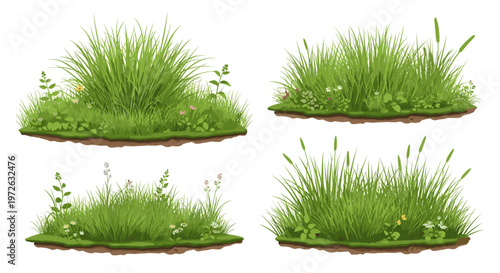 Collection of lush green grass clumps with small wildflowers on white background