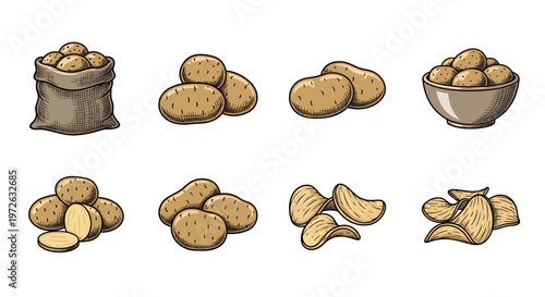 Collection of potato illustrations showing raw tubers, chips, and a sack of potatoes