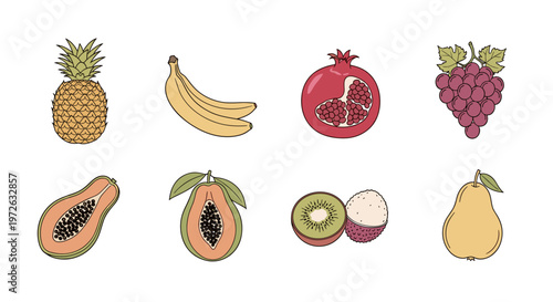 Assortment of colorful tropical and common fruits in a clean illustration style