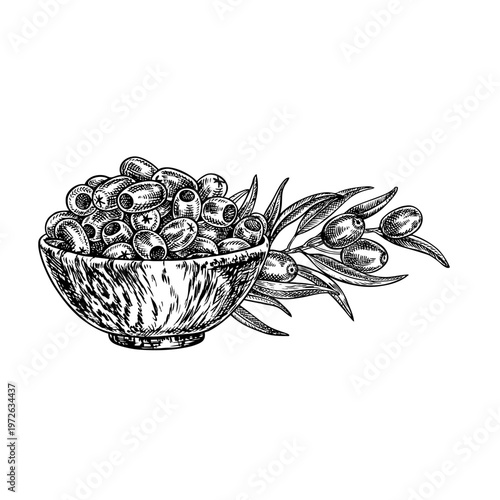A handful of pitted olives in a wooden cup and an olive branch. Black and white graphic vector illustration drawn by hand. For creating labels, prints, and packaging, banners, posters, and more.