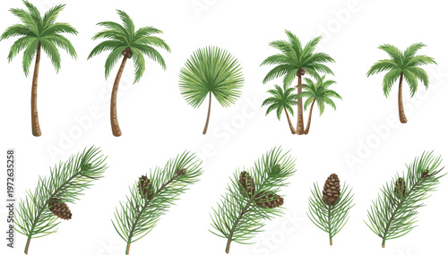 Exotic tropical fruit set with dragon fruit papaya passion fruit and mango