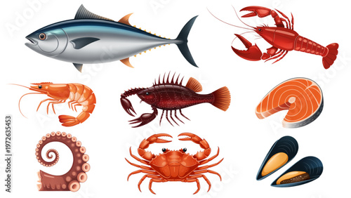 Colorful underwater creatures including a shark, lobster, and various fish Vector