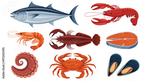 Assorted seafood featuring fish, lobster, shrimp, and crab Vector