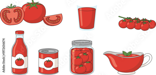 Tropical palm trees and fresh garden vegetables tomato and carrot vector set