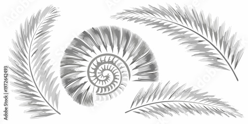 Elegant ammonite fossil illustration with detailed fern and palm fronds