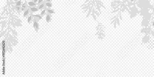 Delicate tree branch shadows cast upon a hexagonal patterned background