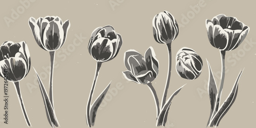 Elegant grayscale illustration of several blooming tulip flowers on stems