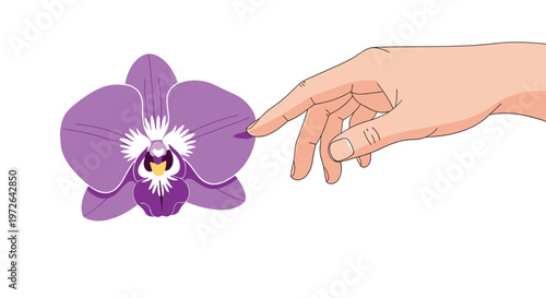 A gentle human hand reaches out with a single finger to softly touch the intricate petals of a stunning purple orchid flower against a white space.