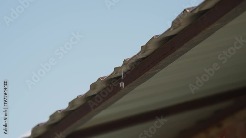 Spring thaw exposes rainsoaked roof. Morning light highlights water flowing from roof. Calm scene of water trickling from roof line in serene spring morning atmosphere