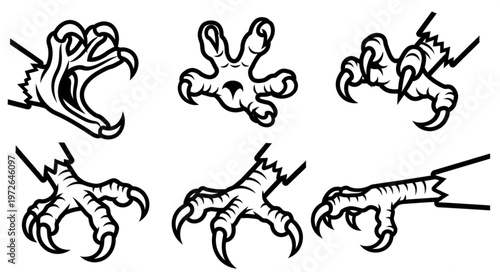 Detailed Raptor Talons and Clawed Bird Feet Illustration.
