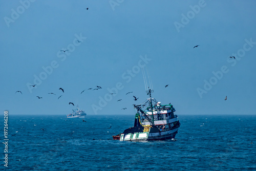 Barco pesqueiro em alto-mar cercado por aves marinhas sob céu azul