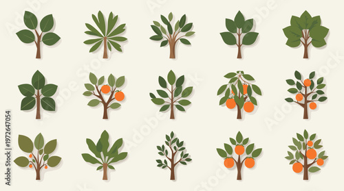 A minimalist botanical illustration of green leaves and vibrant orange berries creates a calming and natural aesthetic. Ideal for backgrounds, wellnes