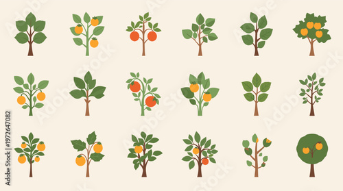 A minimalist illustration of a citrus tree with ripe fruit. Perfect for conveying themes of growth, health, or natural freshness in design projects.