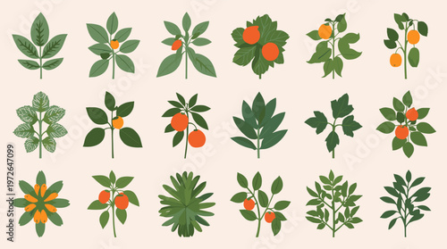 A minimalist botanical illustration with vibrant orange and green hues. Ideal for adding a fresh, organic touch to websites, branding, or social media