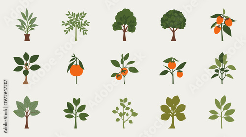 A simple, elegant leaf graphic evokes a sense of calm and natural beauty. Perfect for backgrounds, branding, or conveying environmental themes in webs