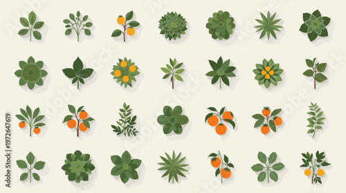 A minimalist illustration of a leaf casting a shadow, offering a fresh and natural element for backgrounds or design projects. Perfect for eco-friendl