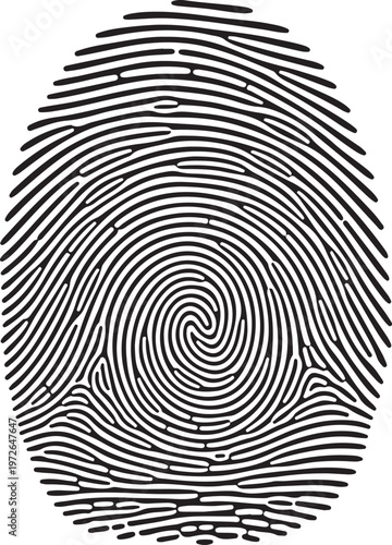 A detailed fingerprint pattern showcasing intricate whorl ridges and unique biometric features silhouette vector icon