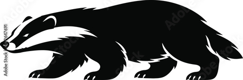 European badger silhouette vector illustration walking with characteristic striped head pattern isolated on transparent background for nature projects.