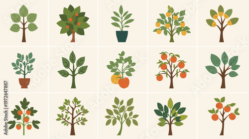 A simple, modern illustration of a tomato plant with vibrant orange tomatoes. Ideal for food-related content, gardening blogs, or health and wellness 