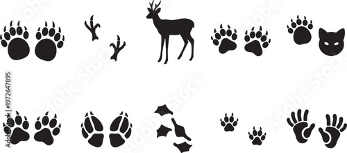 Collection of animal footprints and paw prints silhouettes