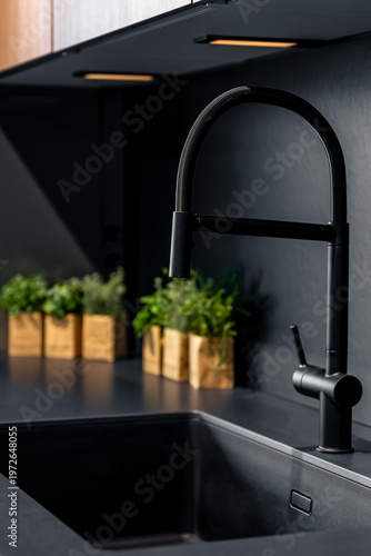 Contemporary black kitchen tap in minimalist sink. Luxury home renovation and plumbing detail.