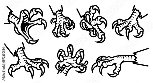 Detailed Sketches Of Bird Talons And Claws.