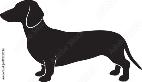 Silhouette of a black dachshund dog standing side profile view also transparent background