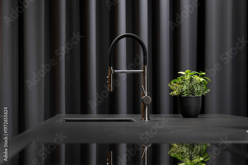 Modern black faucet in kitchen. Minimalist design with green plant.