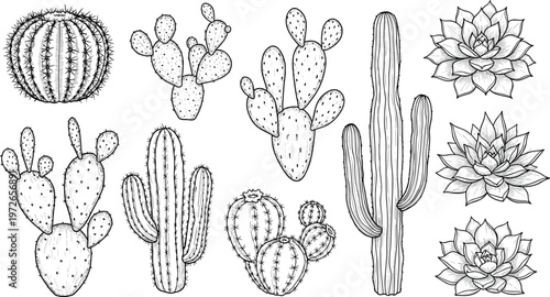 Cactus and succulent plants line art illustration set with desert botanical collection including prickly pear barrel cactus and rosette succulents