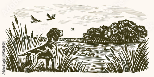 A detailed sketch depicts a pointer dog observing birds over a wetland