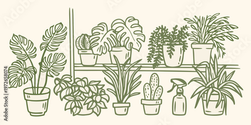 A collection of potted houseplants displayed on multiple shelves