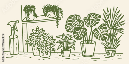 Stylized illustration of various potted houseplants on a shelf