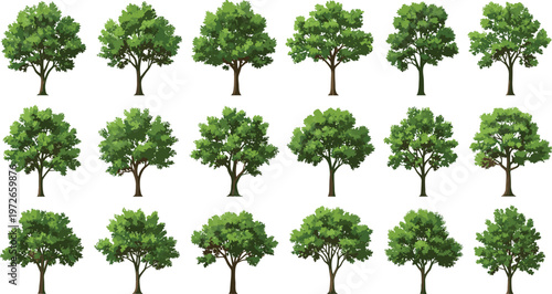 Realistic green tree vector set summer landscape trees for architectural design isolated on white background