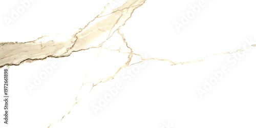 Elegant white marble slab surface with delicate natural brown veins for modern interior design