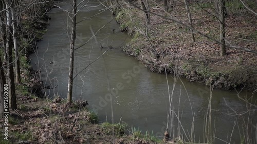 Quiet creek flowing through bare woods in early spring.