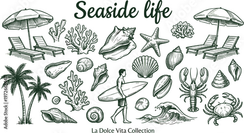 Seaside life collection with beach loungers shells corals surfer and marine elements vintage engraving style vector illustration.eps