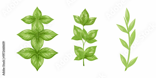 Three different green plant stems with varied leaf shapes isolated on white