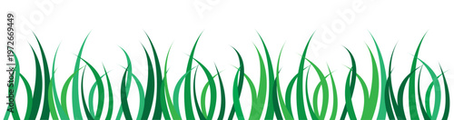 Green grass blades on isolated white background for nature and landscape designs  grassy texture
