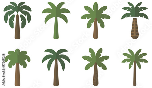 A set of palm trees with different green leaves and brown trunks isolated on white background, Vector