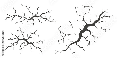 A close-up view of branching neuron cells with synaptic connections