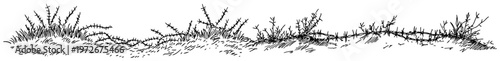 Wild grass and thorny plants growing along a field edge in hand drawn doodle style