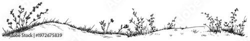 Grassy hills with wildflowers and small weeds in hand drawn doodle style
