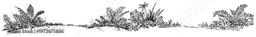 Wild ferns and lush foliage on a grassy mound in sketch style