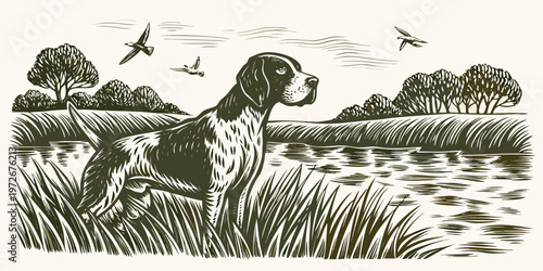 A regal pointer dog gazes upwards toward flying birds in a landscape