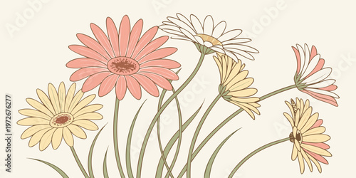 A delicate illustration of colorful gerbera daisies and botanical stems