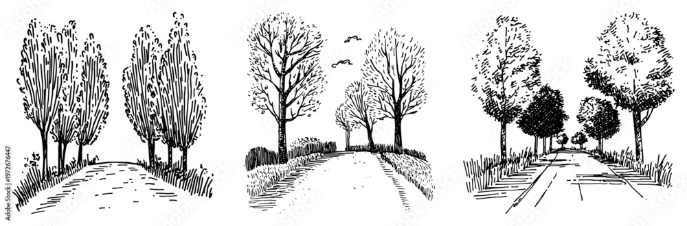 Fototapeta premium Tree lined roads in three different rural landscape scenes hand drawn sketch style