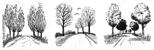 Tree lined roads in three different rural landscape scenes hand drawn sketch style