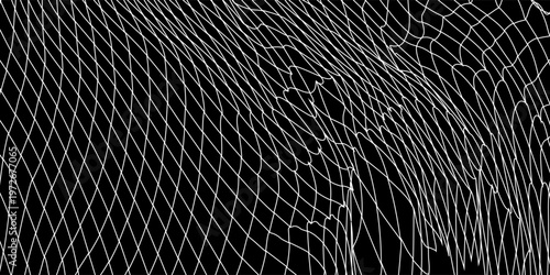 Fishing or soccer net. Repeated hexagon pattern. Black wired mesh texture isolated on white background.ilustrasion modern.