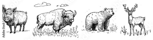 Wild animals set including boar bison bear and deer in hand drawn sketch style